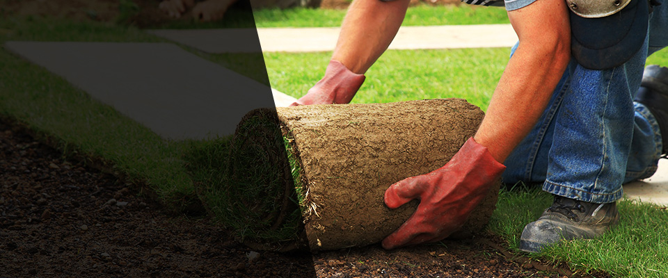 Sault Sainte Marie Landscapers